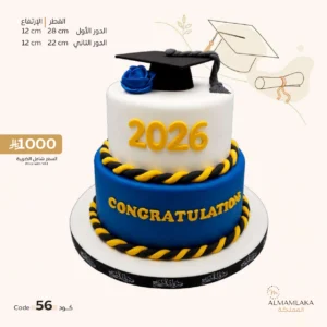 Graduation cake 56