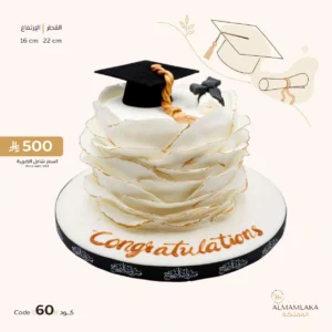 Graduation cake 60