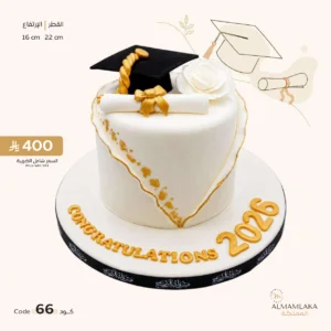 Graduation cake 66