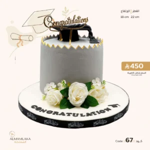 Graduation cake 67