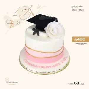 Graduation cake 69